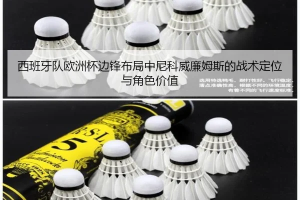 西班牙队欧洲杯边锋布局中尼科威廉姆斯的战术定位与角色价值