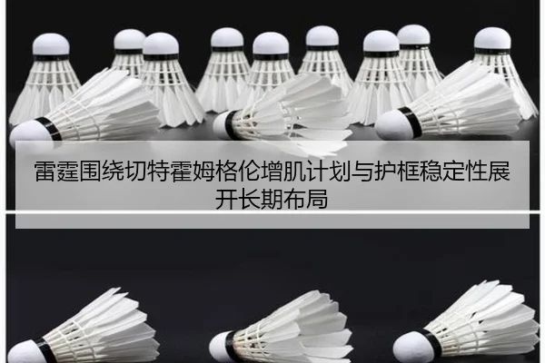 雷霆围绕切特霍姆格伦增肌计划与护框稳定性展开长期布局